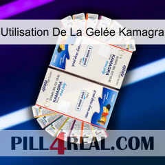 Utilisation De La Gelée Kamagra kamagra1